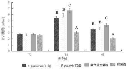 一株植物乳杆菌Y1和巴氏毕赤酵母Y2及其益生菌制剂和应用