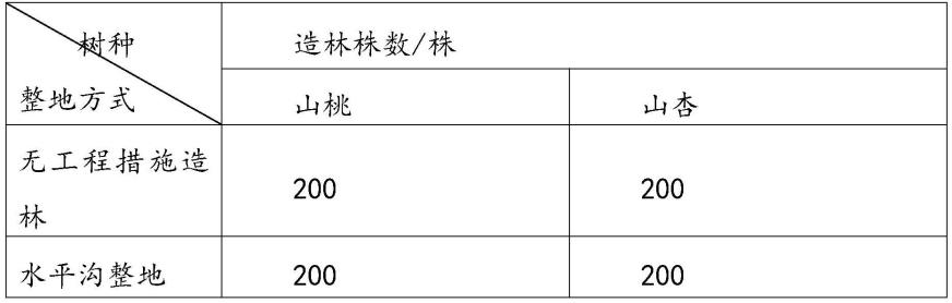 一种用于黄土丘陵区抗旱造林的方法