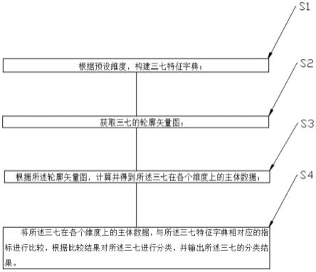 基于图像识别的三七分类方法、装置和分类系统与流程