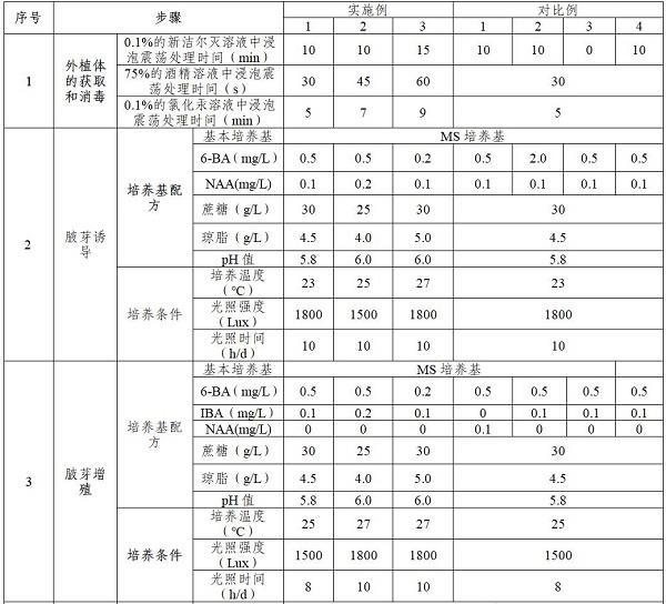 一种紫菀的组织培养方法与流程