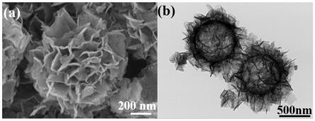 一种镍钴双金属基亚微米花簇及其制备方法和应用