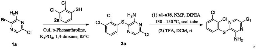 杂环吡嗪衍生物与其在制备SHP2抑制剂中的应用
