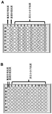 基于生物芯片的小分子多联检试剂盒及其制备方法、检测方法与流程