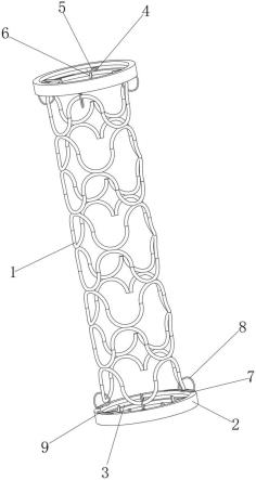 一种新型防脱载冠脉支架保护装置的制作方法