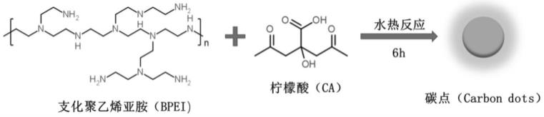 一种碳点改性荧光纤维复合防伪膜材料及其制备方法