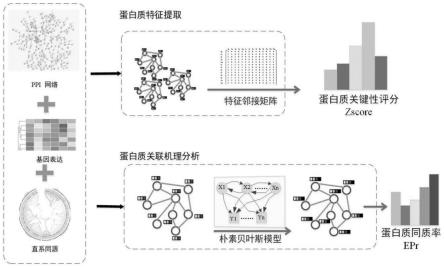 一种分子靶点快速预测及关联机理分析方法