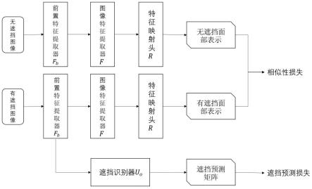 基于自监督学习技术的被遮挡的人脸表情识别方法及应用与流程