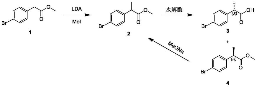 一种(S)-2-(4-溴苯基)丙酸的制备方法与流程