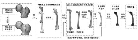 一种基于骨骼模板变形匹配的人体骨骼畸形测量方法