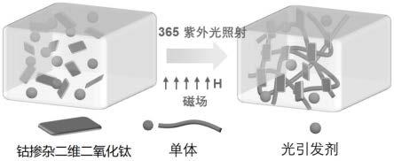 一种双折射可调的光学水凝胶及其制备方法和应用