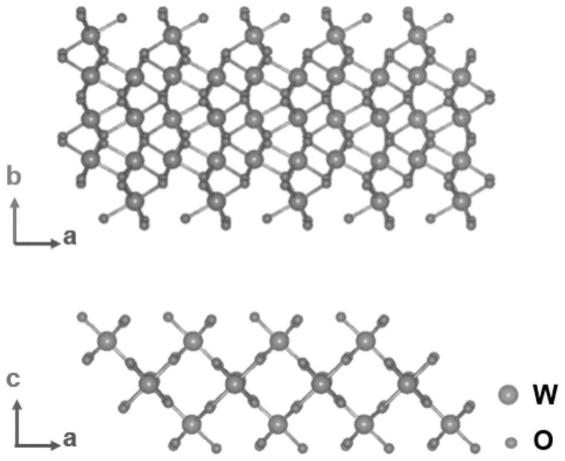一种二氧化钨纳米片制备及其电学器件中的应用