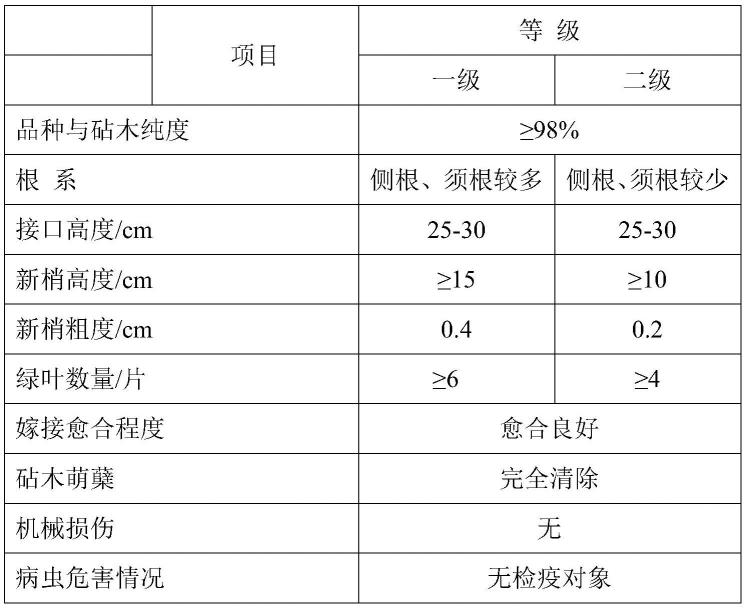 一种提高葡萄硬枝嫁接育苗愈合催根阶段萌芽率的方法与流程