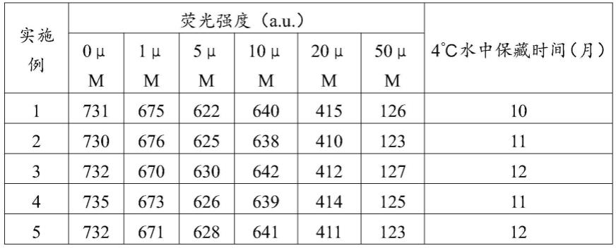 一种纳米荧光探针及其制备方法与应用