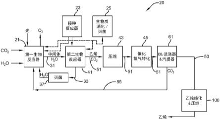 用于由二氧化碳生产乙烯的方法与流程