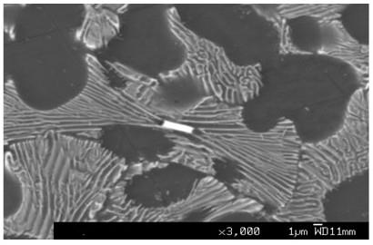 一种含有手风琴褶皱状纳米片层析出相的水解制氢铝合金及其制备方法和应用与流程