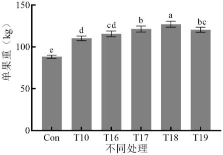 一种促进巨型南瓜果实增大的方法