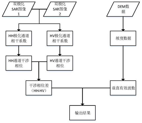 一种基于雷达干涉测量（InSAR）及坡度矫正模型的森林树高反演算法