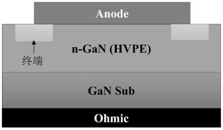 基于全HVPE工艺生长的GaN肖特基二极管及其制备方法