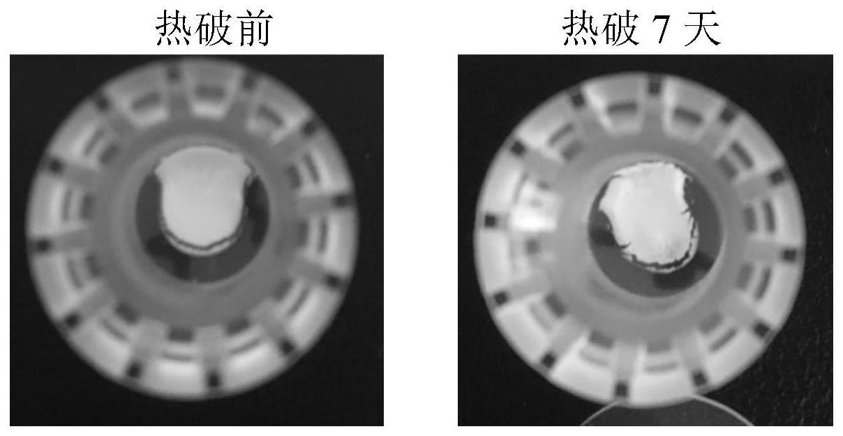 血栓弹力图凝血激活检测试剂及其制备方法