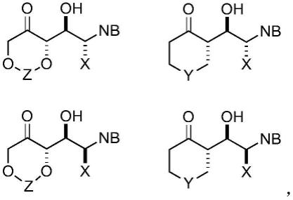 一种合成核苷及其类似物的方法和试剂与流程