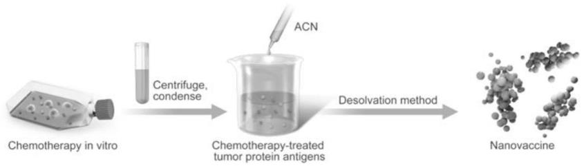 一种化疗诱导的肿瘤蛋白抗原纳米疫苗的制备方法及其应用