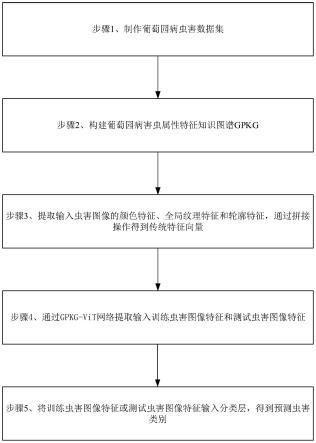 基于属性特征知识图谱的葡萄园病虫害细粒度识别方法