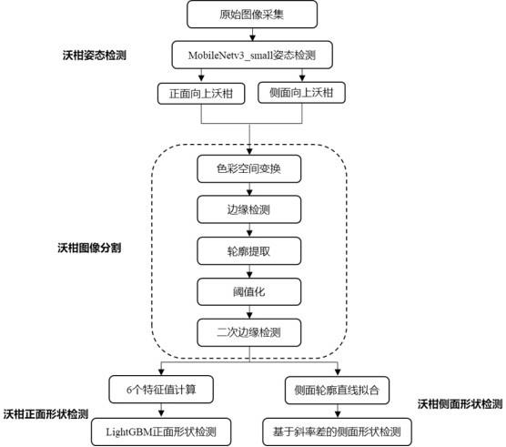 果品畸形检测方法、装置、装备及存储介质与流程