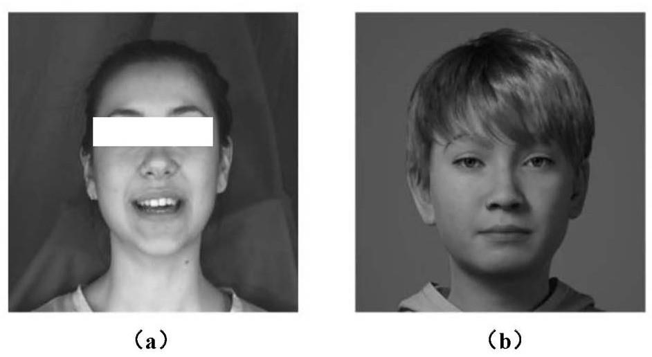 一种换脸模型的训练、基于视频的换脸方法和相关装置与流程