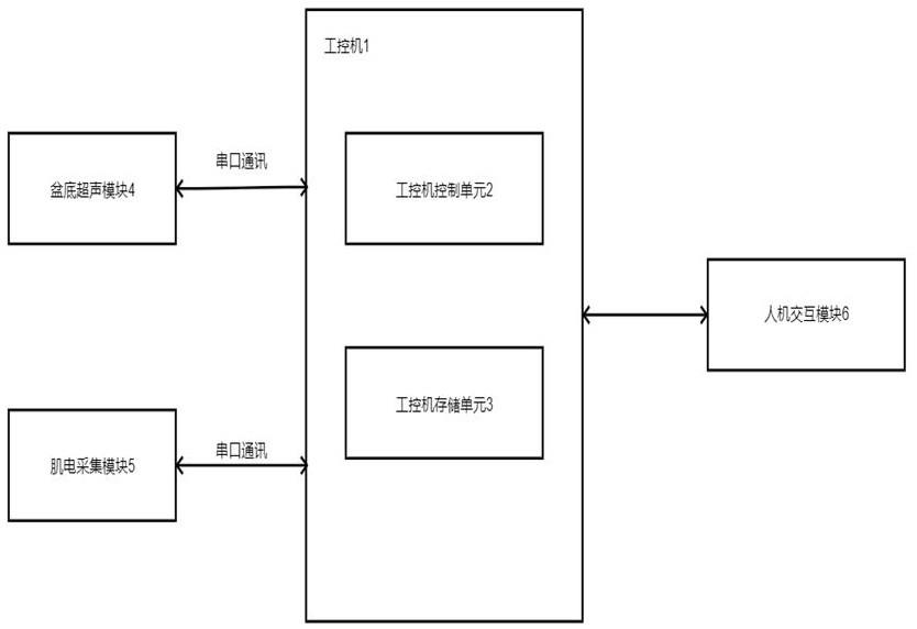 一种肌电采集和盆底超声结合的检查系统的制作方法