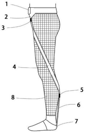 一种形似紧身裤的助行柔性被动外骨骼
