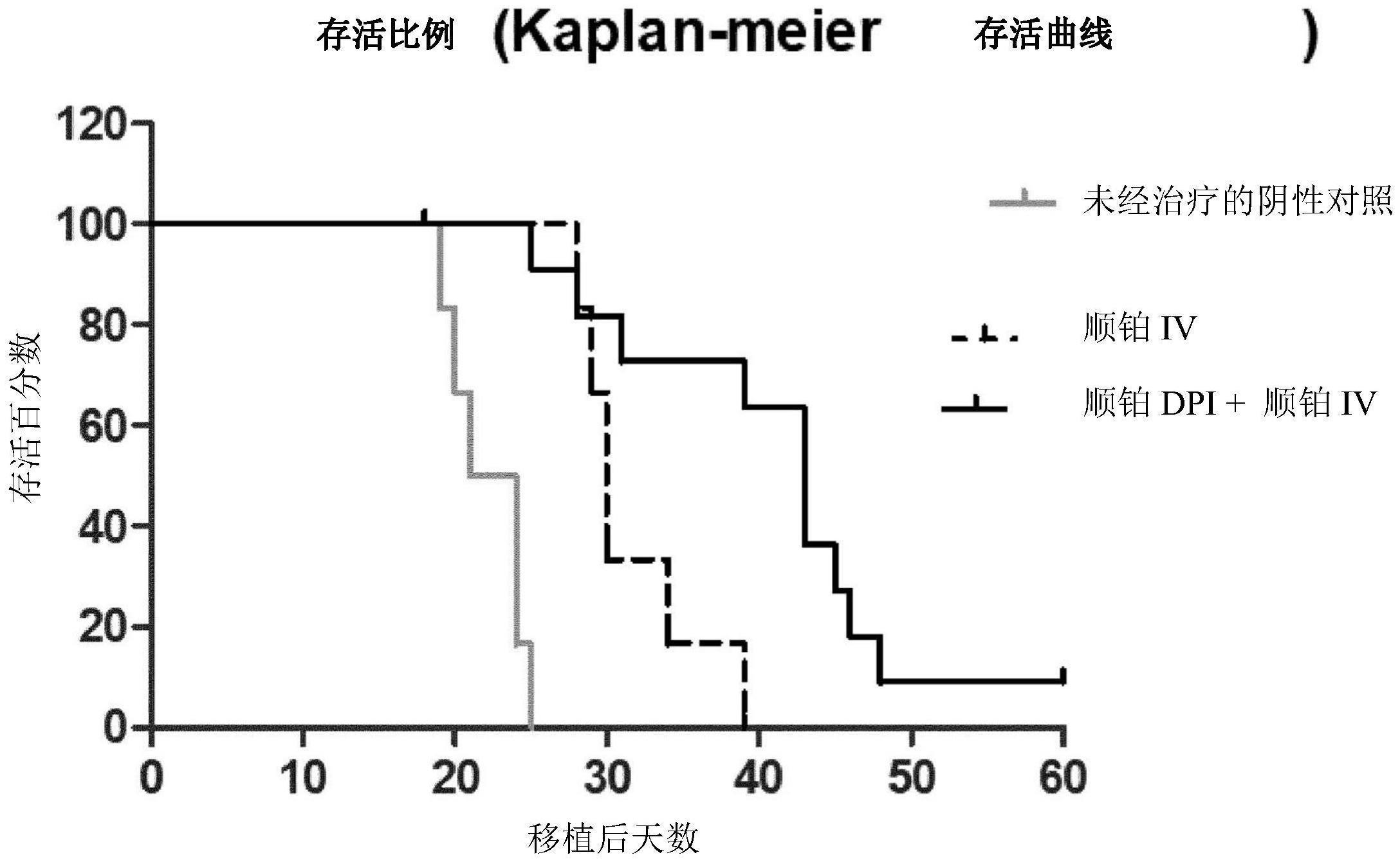 用于吸入式化学疗法的药盒以及使用所述药盒治疗肺癌