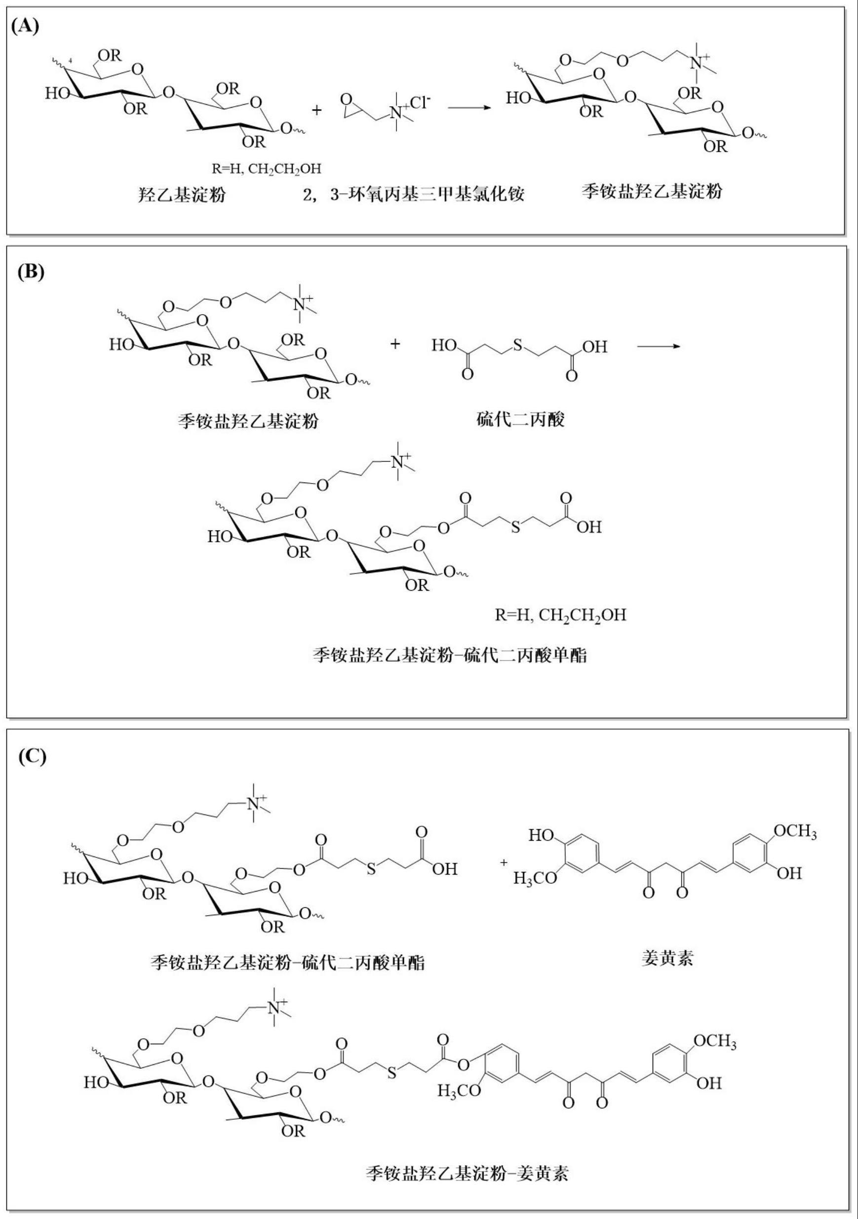 抗癌药物季铵盐羟乙基淀粉-姜黄素前药及其制备方法