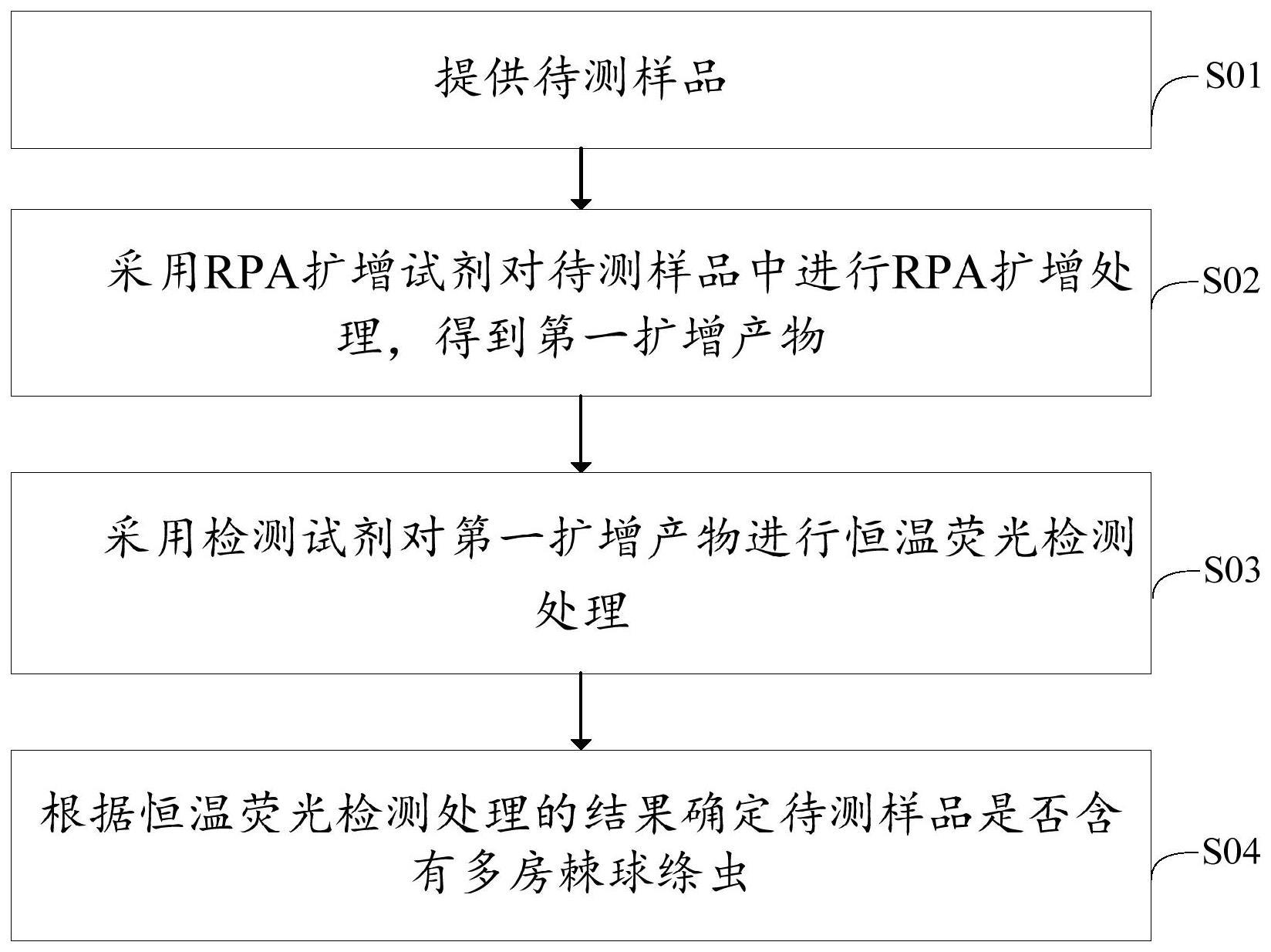 多房棘球绦虫图片