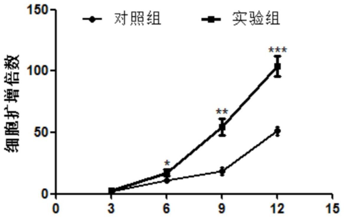 一种用于CAR-T细胞快速扩增和活性增强的培养基的制作方法