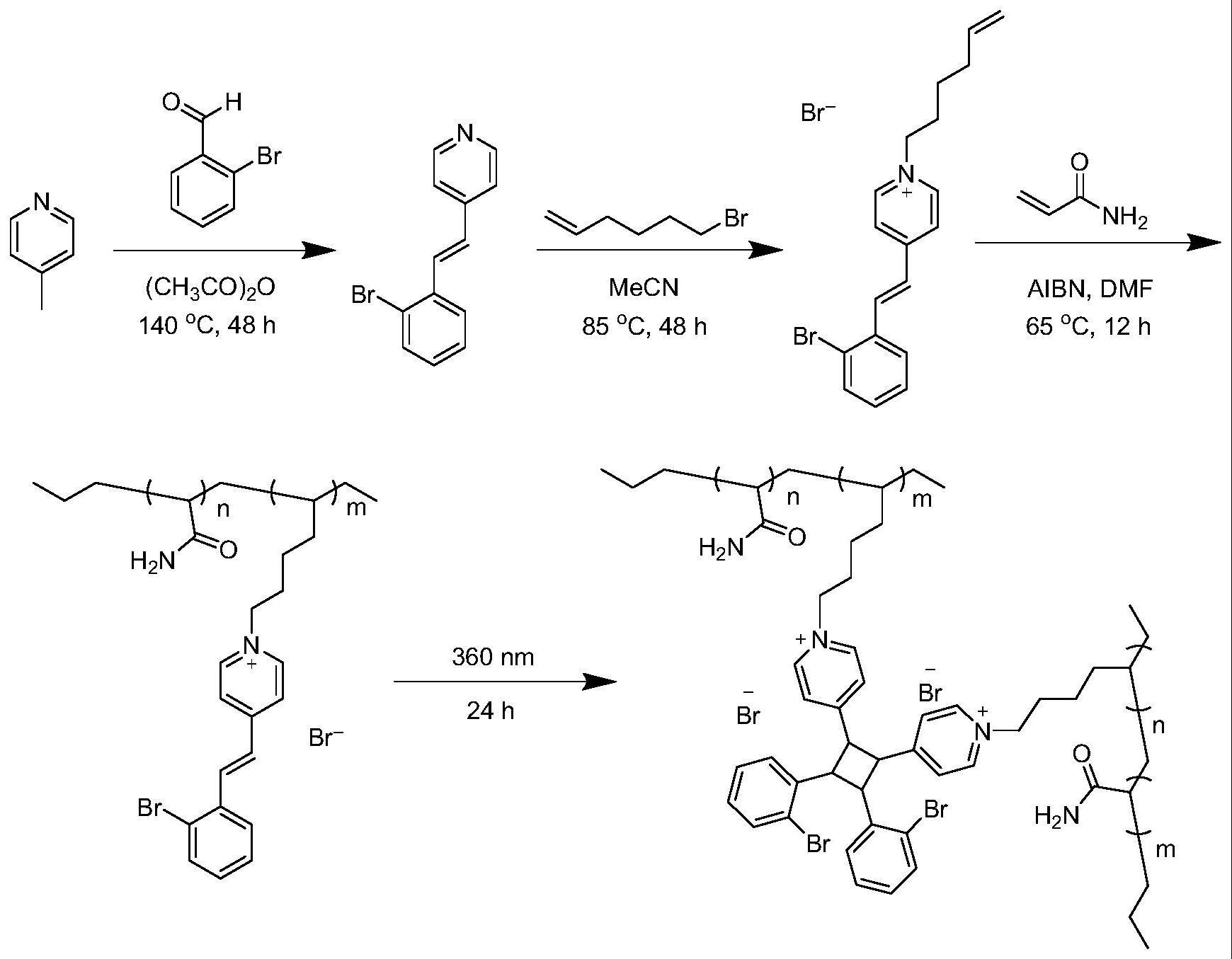 一种丙烯酰胺共聚物、光交联共聚物