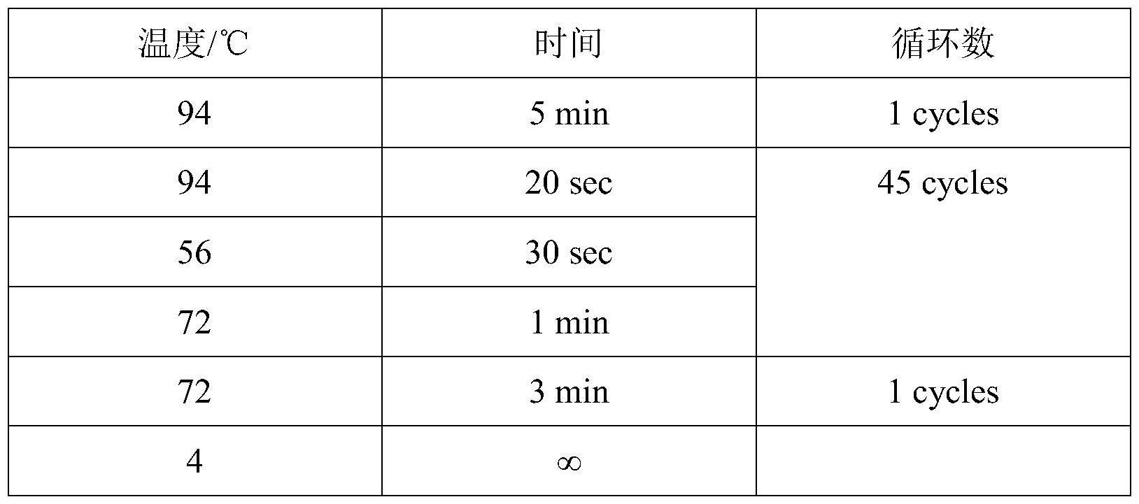 肉鸽IGF2BP3基因中与生长和屠宰性状相关的Indel分子标记及其应用