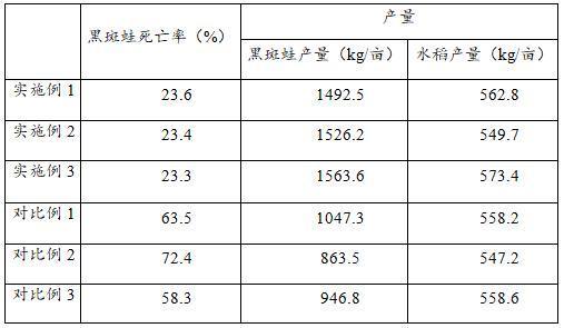 一种黑斑蛙与水稻共生种养的方法与流程