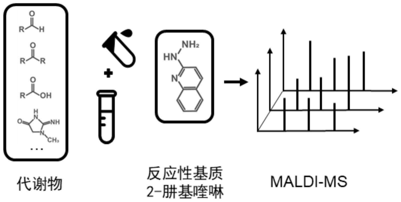 2-肼基喹啉作为基质在MALDI-MS分析体液中的应用