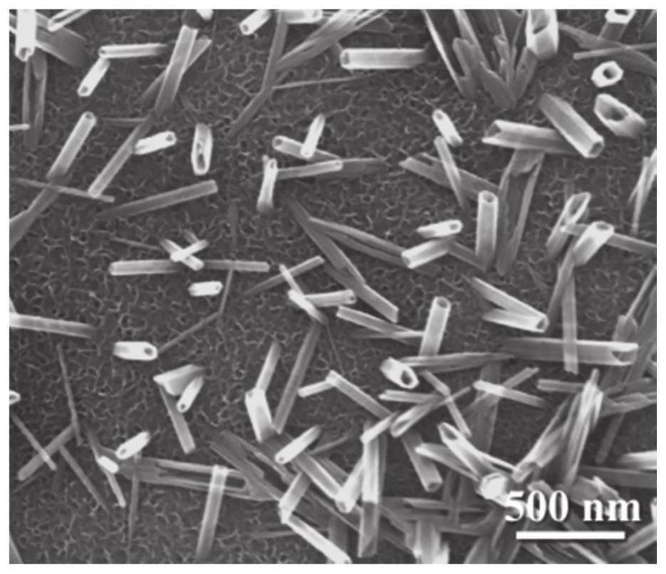 钛/钛合金多孔或致密体表面HA中空纳米柱涂层及制备方法