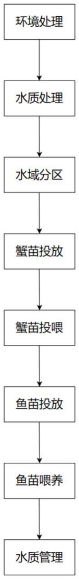 一种大口黑鲈与河蟹的生态养殖方法与流程