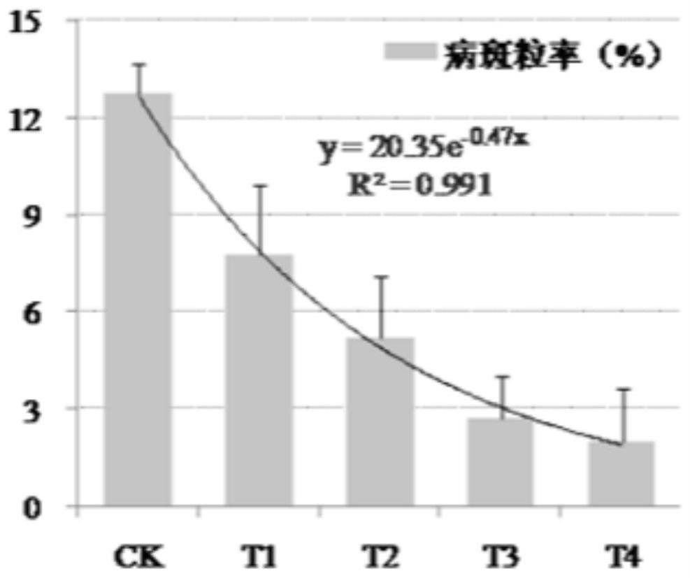 一种有效防控苗期病害发生的小麦种子繁育技术的制作方法