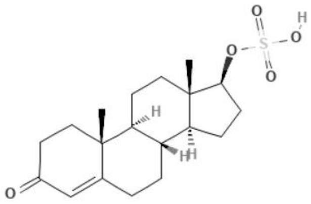 硫酸化C19类固醇激素治疗和/或预防蛋白质聚集病的蛋白质毒性的制作方法