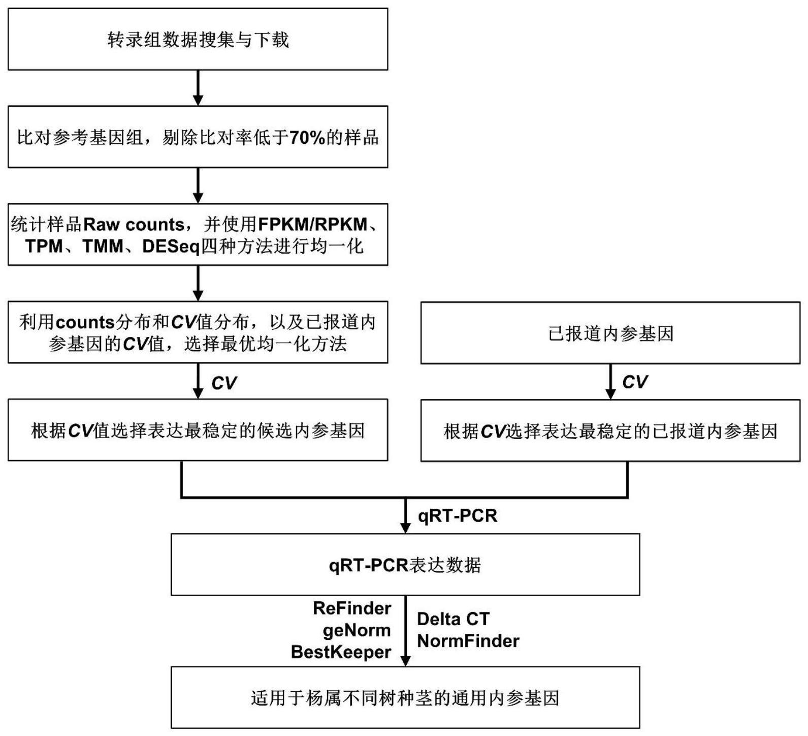 一种适用于杨属不同树种茎的通用内参基因及其筛选方法和应用