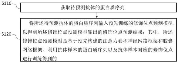 基于深度学习模型预测抗体翻译后修饰位点的方法和系统与流程