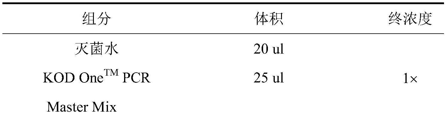 具有二氯甲烷降解能力的赤霉链霉菌FHY-2及其应用