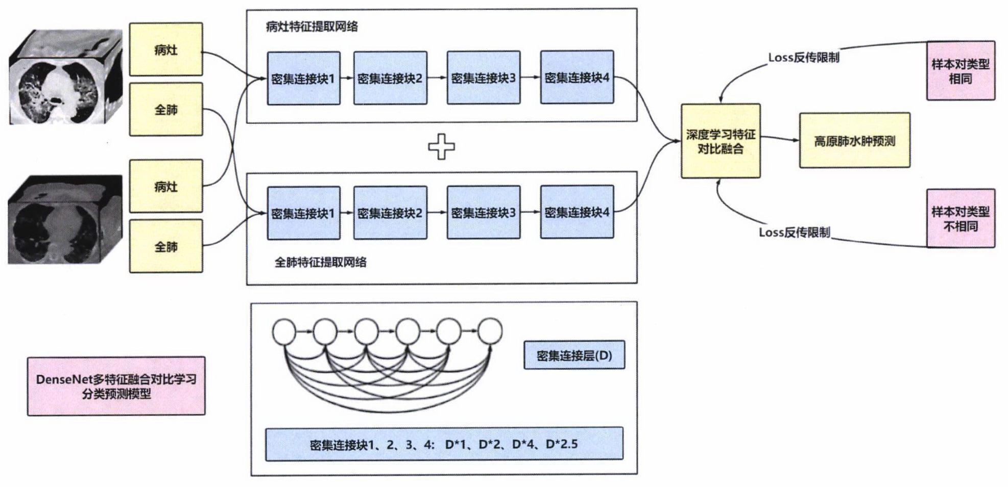 一种基于多特征融合及对比学习的高原肺水肿预测方法