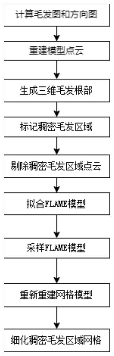 一种基于先验模型的人脸稠密毛发皮肤区域网格修复方法与流程