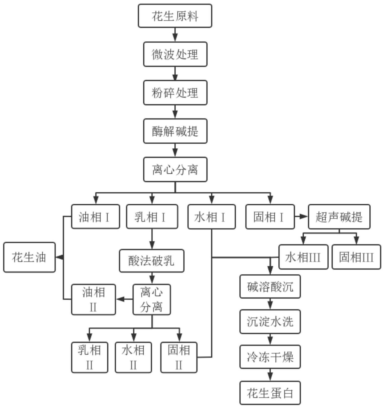 一种微波辅助水酶法高效提取花生油和花生蛋白的方法