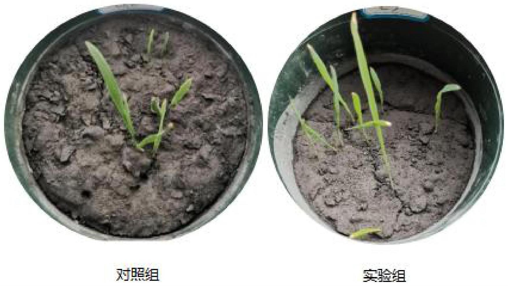 一种粉煤灰山体修复功能土及其制备方法