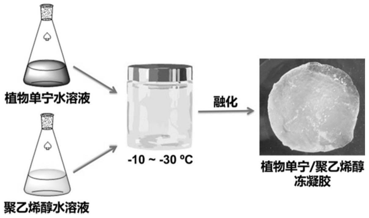 一种植物单宁冻凝胶及其合成方法与应用与流程